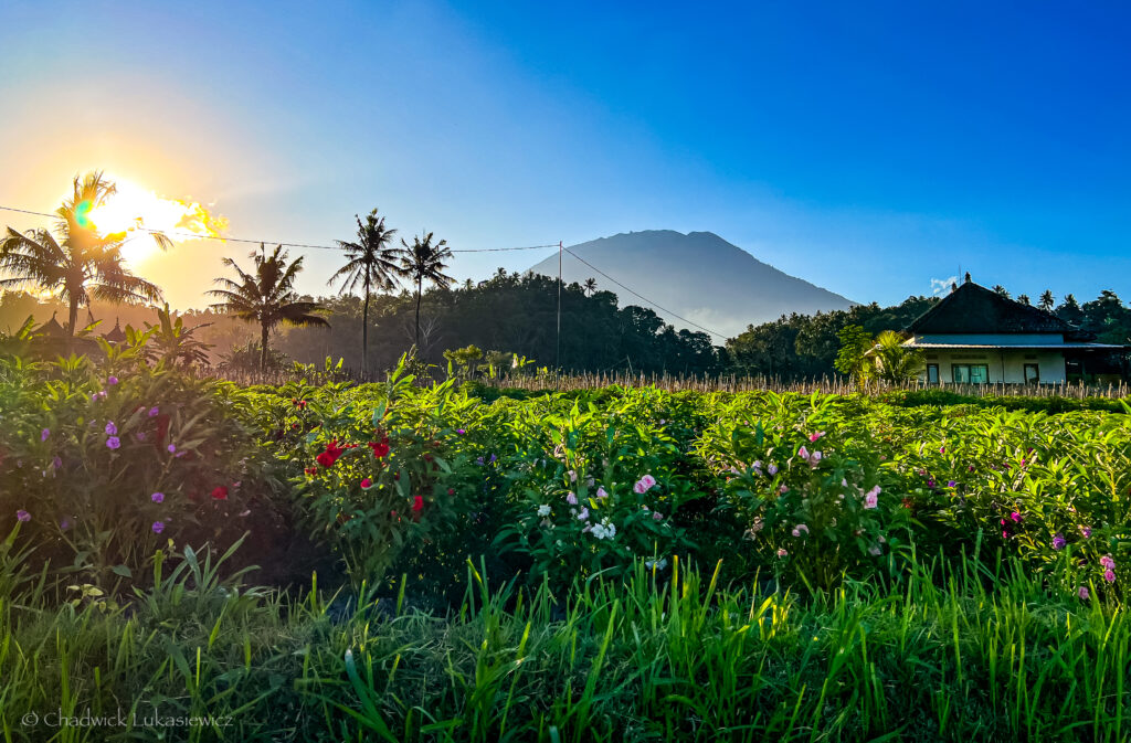 Sunrise over a lush countryside in Sidemen, Bali, with vibrant green fields and colorful flowers in the foreground. Palm trees and a traditional house stand against the backdrop of a towering mountain, with the sun casting a golden glow over the landscape