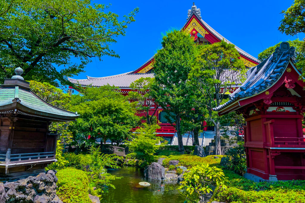 Bright summer view of the Sensoji Temple in Asakusa, Tokyo, Japan. The scene is filled with lush green trees and a small pond with rocks, while the vibrant red and yellow temple buildings are visible in the background, with traditional pagoda-style roofs. The sky is clear and blue, enhancing the vivid colors of the landscape.