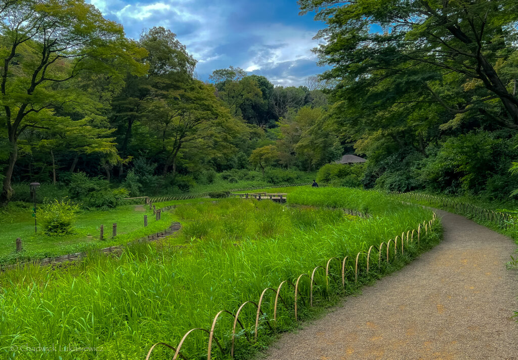 A peaceful garden scene at Meiji Jingu in Tokyo, featuring a winding gravel path bordered by lush green grass and trees. Tall trees with vibrant green leaves provide shade, while a wooden fence runs alongside the path. The scene is serene, with a distant figure walking, blending into the tranquil natural surroundings under a partly cloudy sky.