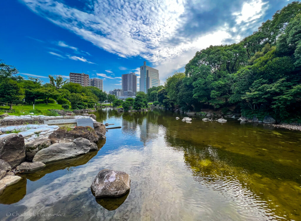 Peaceful scene at Sumida Park in Tokyo, Japan, with a calm, reflective pond surrounded by greenery. Large rocks line the water’s edge, and the sky above is partly cloudy with patches of blue. In the distance, modern city buildings rise above the park’s trees, blending nature and urban life.