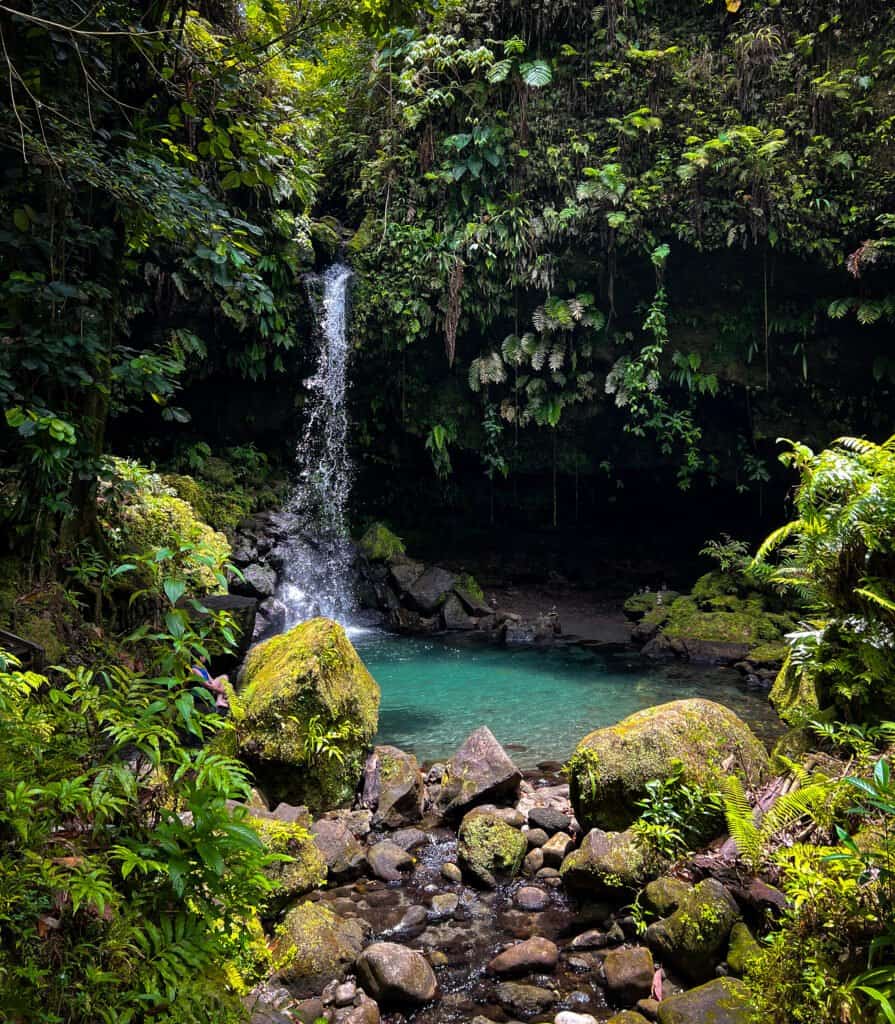 A secluded waterfall cascading into a small, crystal-clear pool surrounded by lush green vegetation and moss-covered rocks in a tropical forest.