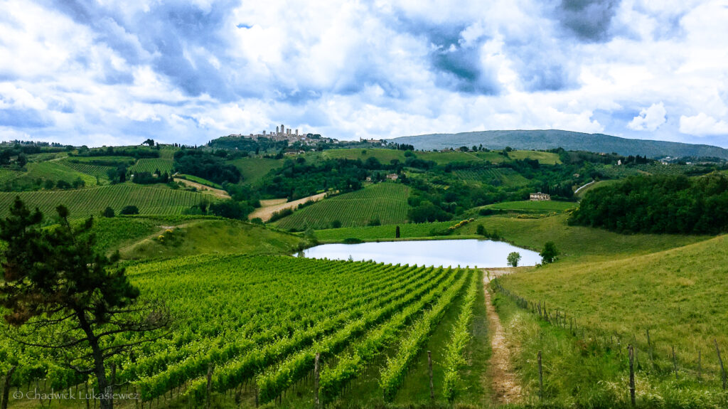 Scenic view of a lush vineyard in Tuscany, Italy, with rows of grapevines stretching across rolling hills. A small pond reflects the overcast sky, and in the distance, the medieval town of San Gimignano is visible on a hilltop, with its iconic towers rising above the landscape. The greenery and vibrant countryside contrast against the dramatic clouds.