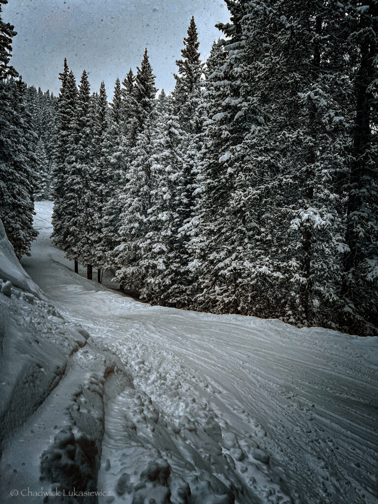 snow-covered path cuts through a dense forest of towering pine trees in a winter landscape. The trees are heavily blanketed with snow, creating a peaceful and secluded atmosphere. Tracks in the snow indicate a trail used for snowboarding or skiing, while light snow falls from the overcast sky above, adding to the wintry feel of the scene.