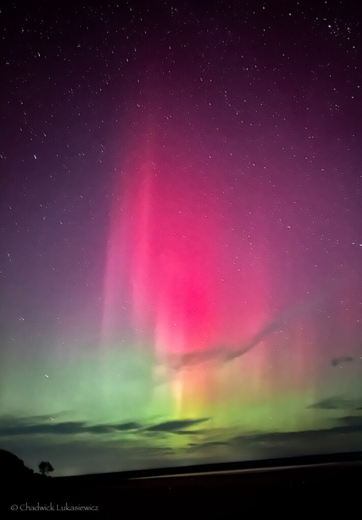 A vivid display of the aurora borealis over a dark landscape at Jackson Lake State Park, Colorado. The night sky is illuminated by striking pink and green light columns stretching upwards, interspersed with shimmering stars. A silhouette of a tree and low-lying clouds adds depth to the scene, emphasizing the natural beauty of the northern lights. The ethereal glow reflects subtly off the water below, creating a tranquil and otherworldly atmosphere