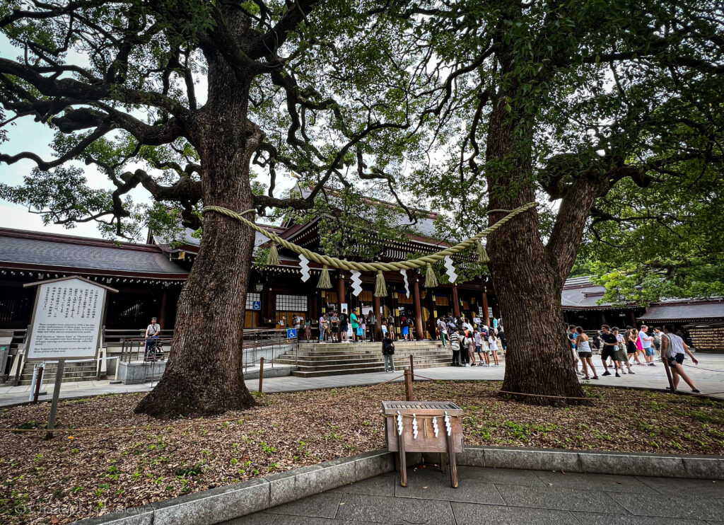 Visitors gather outside the main building of Meiji Jingu Shrine in Tokyo, Japan, framed by two large sacred trees tied with a shimenawa, a traditional straw rope with paper streamers, symbolizing their spiritual significance. A wooden offering box and an informational sign stand in the foreground, while the shrine’s wooden architecture with intricate details is visible in the background, surrounded by lush greenery.