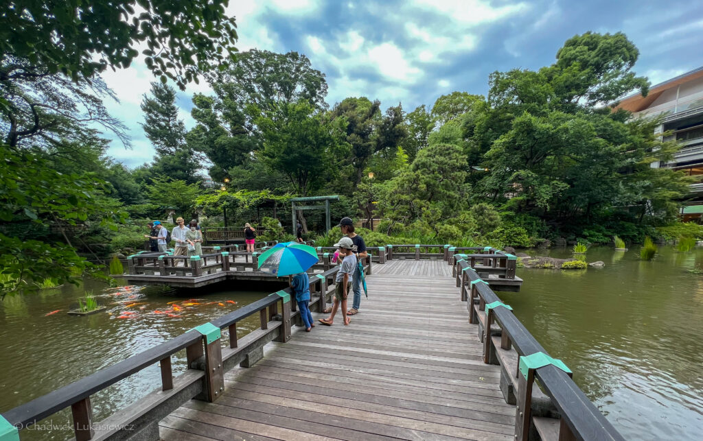 Visitors walk along a wooden platform by a pond at Togo Shrine in Shibuya, Tokyo. The pond is surrounded by lush greenery, with bright orange koi fish visible in the water. A man holding a blue umbrella stands near two children gazing into the pond, creating a serene atmosphere amid the natural landscape. Overhead, the sky is partly cloudy, adding depth to the scene