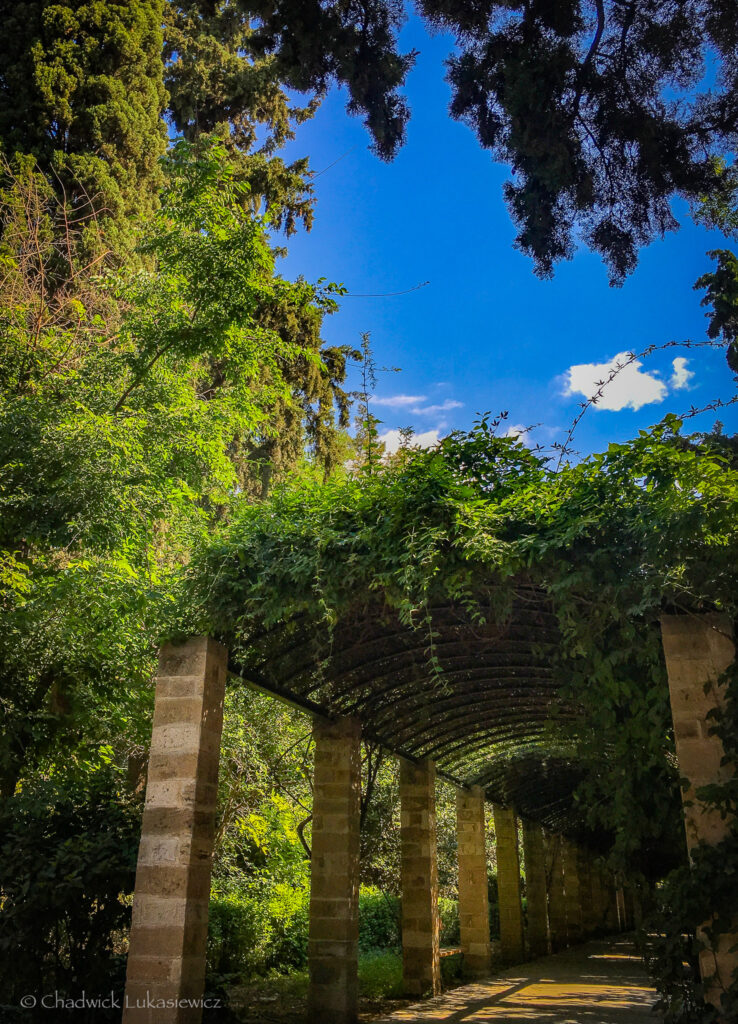 A serene pathway in the National Garden of Athens, Greece, shaded by a pergola covered in vibrant green vines. The lush greenery contrasts against the bright blue sky dotted with fluffy white clouds, creating a peaceful escape in the heart of the city. An ideal spot for quiet reflection, featured in an ADHD travel guide to Rome and Athens for mindful exploration