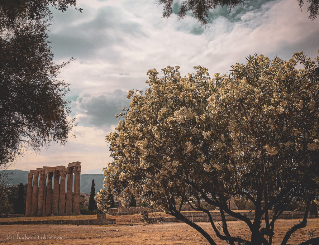 A serene view of the Temple of Olympian Zeus in Athens, Greece, framed by blooming Nerium oleander trees. The weathered ancient columns stand against a backdrop of a partly cloudy sky, evoking the grandeur of classical architecture amidst nature’s tranquility. A perfect addition to an ADHD travel guide for Rome and Athens, offering a peaceful historical retreat.