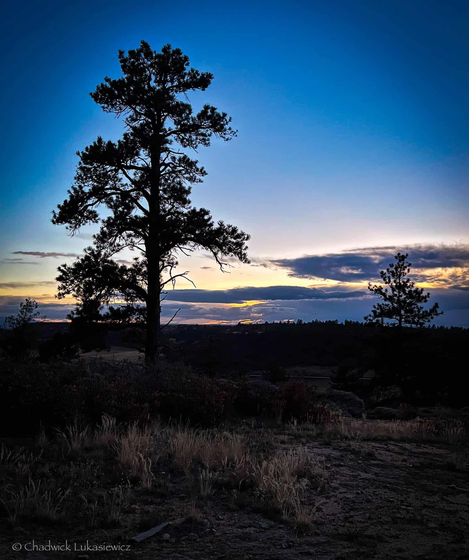 A dramatic sunset silhouette of a lone pine tree against the twilight sky in Castlewood Canyon State Park, Colorado, during fall 2024