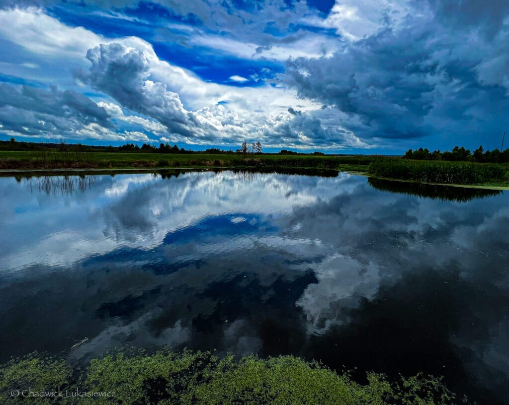 Dramatic clouds mirrored in a still pond Paynes Prairie Preserve State Park in Florida, symbolizing the importance of mindfulness and intentional observation in travel photography.