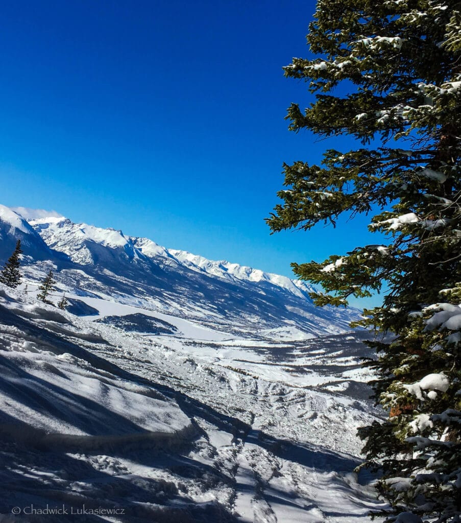 Sunlit glades at The Windows in Keystone, a peaceful glade for sensory-friendly snowboarding and quiet runs in Colorado.