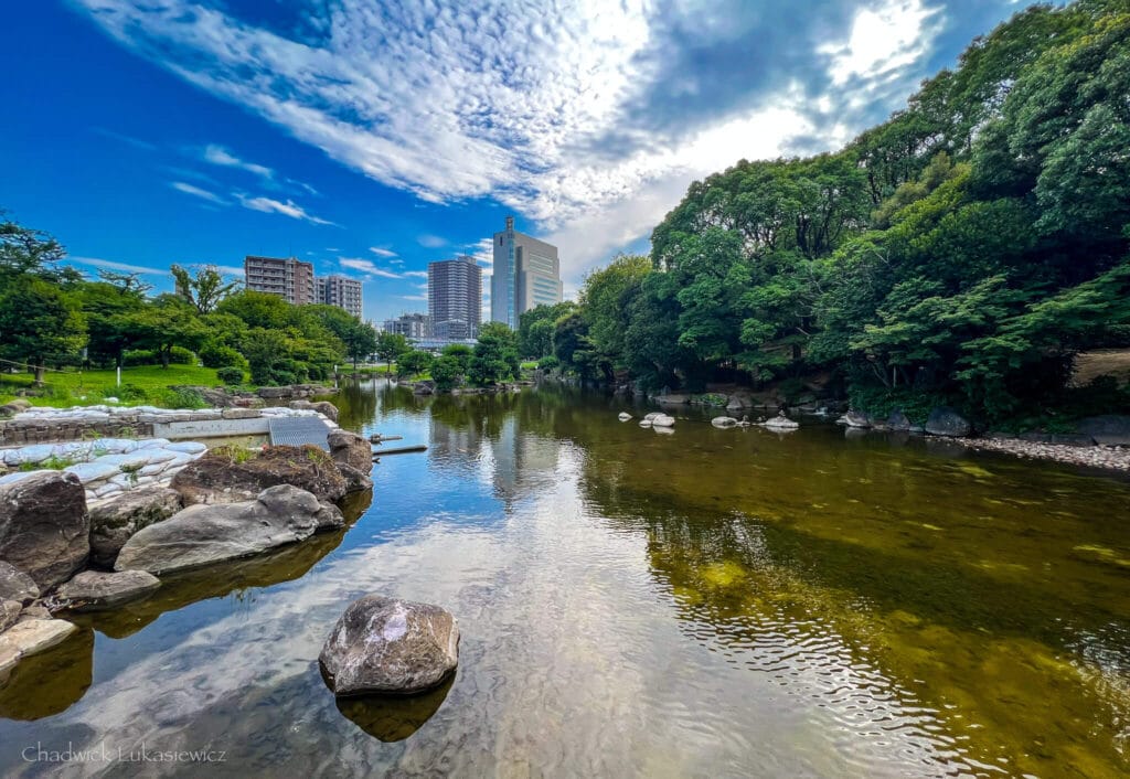 Peaceful Sumida Park in Tokyo, ideal setting for adhd travel recovery techniques amid urban sensory overload.
