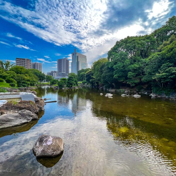 Peaceful Sumida Park in Tokyo, ideal setting for adhd travel recovery techniques amid urban sensory overload.