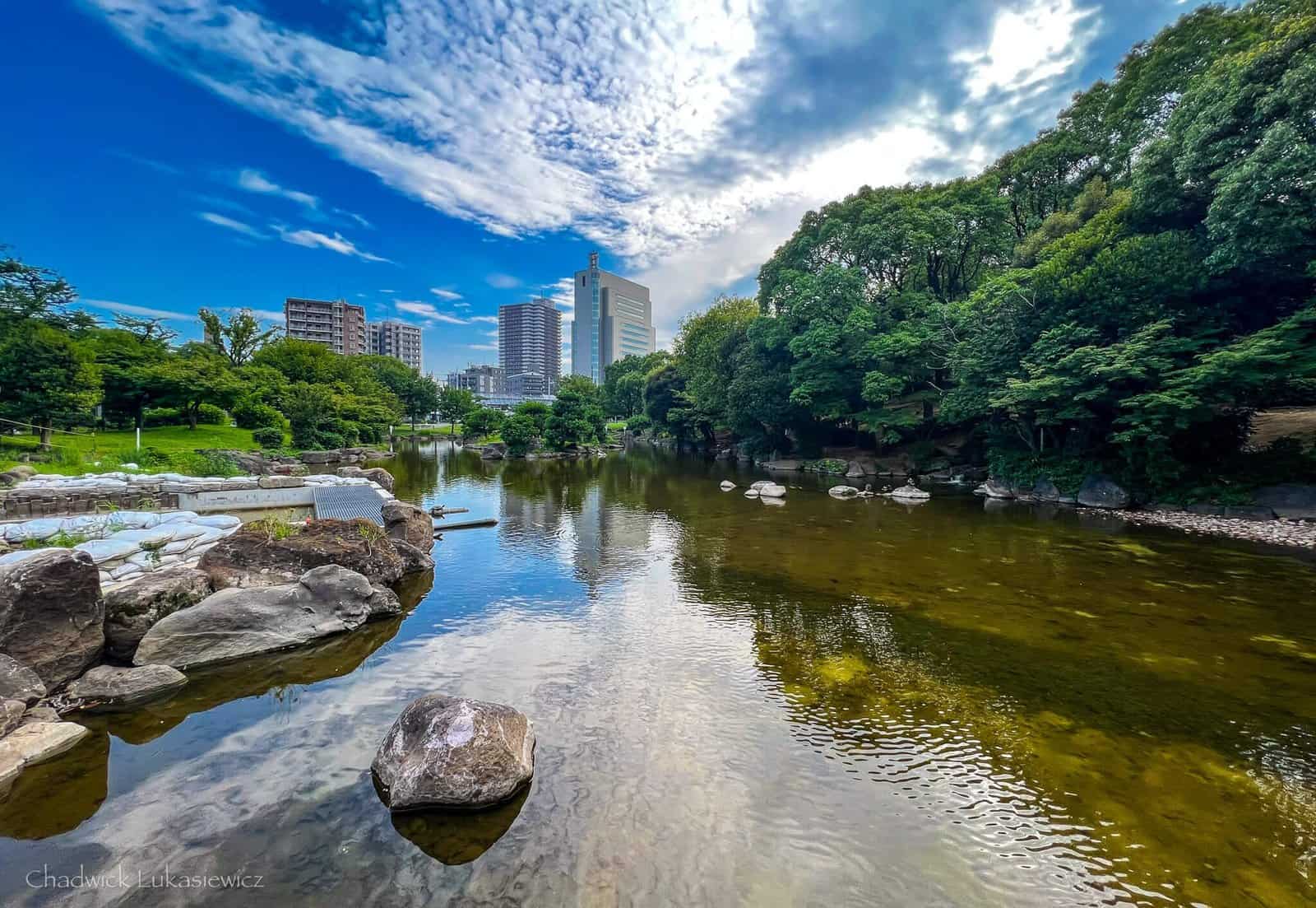 Peaceful Sumida Park in Tokyo, ideal setting for adhd travel recovery techniques amid urban sensory overload.